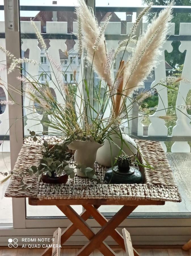 Villa Le Lac Cottage Au Bord Du Lac D'Annecy - Chambre Chez L'Habitant - Les Terrasses Du Lac เวย์ริเยร์-ดู-ลัค ภายนอก รูปภาพ